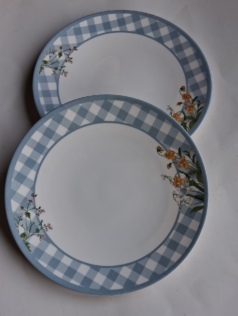 Blue Gingham Floral Dinner Plates - Set of 2